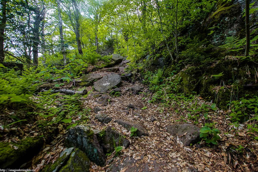 Red Trail Ascending